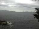 ./images/koeye/fitz-hugh/20210517/fitz-hugh20210517_160002.jpg