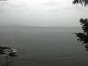 ./images/koeye/fitz-hugh/20210517/fitz-hugh20210517_180001.jpg