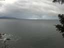 ./images/koeye/fitz-hugh/20210518/fitz-hugh20210518_060001.jpg