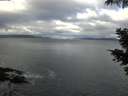 ./images/koeye/fitz-hugh/20210518/fitz-hugh20210518_080001.jpg