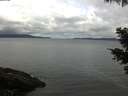 ./images/koeye/fitz-hugh/20210518/fitz-hugh20210518_120001.jpg