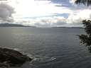 ./images/koeye/fitz-hugh/20210518/fitz-hugh20210518_140002.jpg