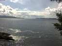 ./images/koeye/fitz-hugh/20210518/fitz-hugh20210518_160002.jpg
