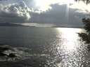 ./images/koeye/fitz-hugh/20210518/fitz-hugh20210518_180001.jpg