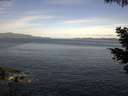 ./images/koeye/fitz-hugh/20210519/fitz-hugh20210519_080001.jpg