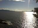 ./images/koeye/fitz-hugh/20210519/fitz-hugh20210519_180001.jpg