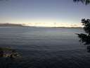 ./images/koeye/fitz-hugh/20210520/fitz-hugh20210520_080001.jpg