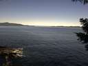 ./images/koeye/fitz-hugh/20210520/fitz-hugh20210520_100002.jpg