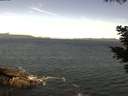 ./images/koeye/fitz-hugh/20210520/fitz-hugh20210520_120001.jpg