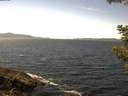 ./images/koeye/fitz-hugh/20210520/fitz-hugh20210520_140001.jpg