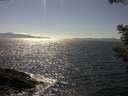 ./images/koeye/fitz-hugh/20210520/fitz-hugh20210520_160002.jpg