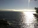 ./images/koeye/fitz-hugh/20210520/fitz-hugh20210520_180002.jpg