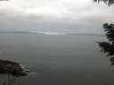 ./images/koeye/fitz-hugh/20210521/fitz-hugh20210521_060002.jpg