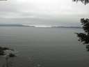 ./images/koeye/fitz-hugh/20210521/fitz-hugh20210521_080001.jpg