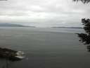 ./images/koeye/fitz-hugh/20210521/fitz-hugh20210521_120002.jpg