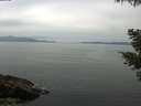 ./images/koeye/fitz-hugh/20210521/fitz-hugh20210521_140001.jpg