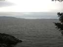 ./images/koeye/fitz-hugh/20210521/fitz-hugh20210521_160002.jpg