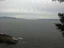 ./images/koeye/fitz-hugh/20210521/fitz-hugh20210521_180002.jpg