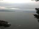 ./images/koeye/fitz-hugh/20210522/fitz-hugh20210522_060002.jpg