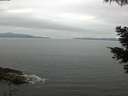 ./images/koeye/fitz-hugh/20210522/fitz-hugh20210522_080002.jpg
