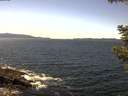 ./images/koeye/fitz-hugh/20210522/fitz-hugh20210522_140001.jpg