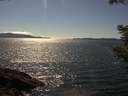 ./images/koeye/fitz-hugh/20210522/fitz-hugh20210522_160001.jpg