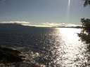 ./images/koeye/fitz-hugh/20210522/fitz-hugh20210522_180002.jpg