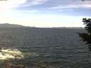 ./images/koeye/fitz-hugh/20210523/fitz-hugh20210523_120002.jpg