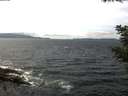 ./images/koeye/fitz-hugh/20210523/fitz-hugh20210523_140001.jpg