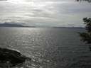 ./images/koeye/fitz-hugh/20210523/fitz-hugh20210523_160001.jpg