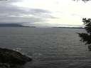 ./images/koeye/fitz-hugh/20210523/fitz-hugh20210523_180002.jpg