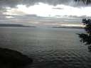 ./images/koeye/fitz-hugh/20210524/fitz-hugh20210524_060001.jpg