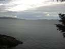 ./images/koeye/fitz-hugh/20210524/fitz-hugh20210524_080002.jpg