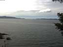 ./images/koeye/fitz-hugh/20210524/fitz-hugh20210524_140002.jpg