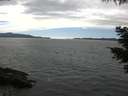 ./images/koeye/fitz-hugh/20210524/fitz-hugh20210524_160002.jpg