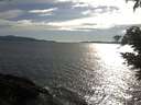 ./images/koeye/fitz-hugh/20210524/fitz-hugh20210524_180001.jpg