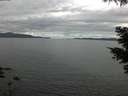 ./images/koeye/fitz-hugh/20210525/fitz-hugh20210525_120001.jpg