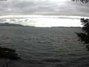 ./images/koeye/fitz-hugh/20210525/fitz-hugh20210525_160002.jpg