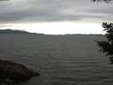 ./images/koeye/fitz-hugh/20210525/fitz-hugh20210525_180001.jpg