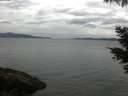 ./images/koeye/fitz-hugh/20210526/fitz-hugh20210526_060002.jpg