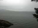 ./images/koeye/fitz-hugh/20210526/fitz-hugh20210526_100002.jpg