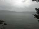 ./images/koeye/fitz-hugh/20210526/fitz-hugh20210526_120002.jpg