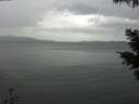./images/koeye/fitz-hugh/20210526/fitz-hugh20210526_140001.jpg