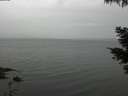 ./images/koeye/fitz-hugh/20210526/fitz-hugh20210526_160002.jpg