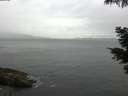 ./images/koeye/fitz-hugh/20210526/fitz-hugh20210526_180001.jpg