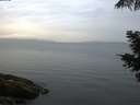 ./images/koeye/fitz-hugh/20210527/fitz-hugh20210527_060002.jpg