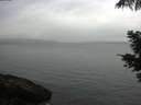 ./images/koeye/fitz-hugh/20210527/fitz-hugh20210527_080001.jpg