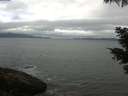 ./images/koeye/fitz-hugh/20210528/fitz-hugh20210528_100002.jpg