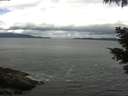 ./images/koeye/fitz-hugh/20210528/fitz-hugh20210528_120002.jpg
