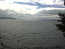 ./images/koeye/fitz-hugh/20210528/fitz-hugh20210528_160002.jpg